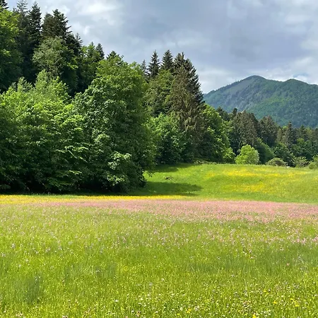 Laimgruber Hof - Naturresidenz アパート